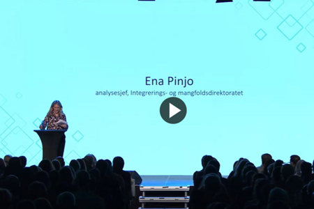 Ena Pinjo, analysesjef, IMDi 