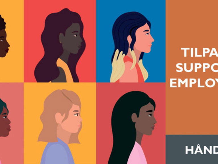 Håndbok tilpasset supported employment 2