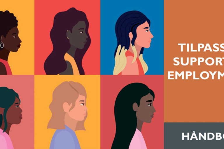 Håndbok tilpasset supported employment 2