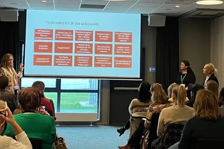 Tilpasset supported employment