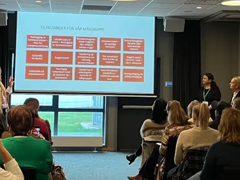 Tilpasset supported employment