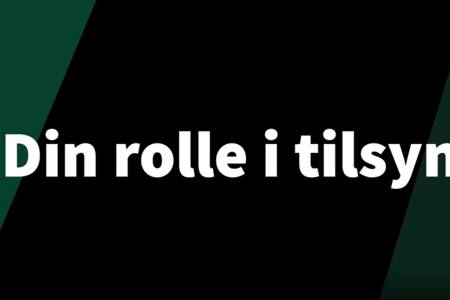 Din rolle i tilsyn
