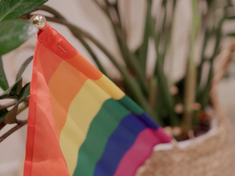 Skeiv verden lær fra andre