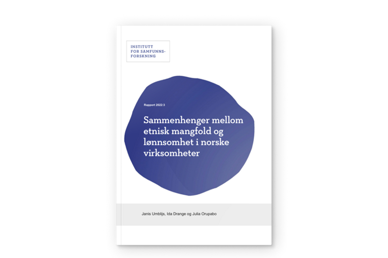 Sammenhenger mellom etnisk mangfold og lønnsomhet