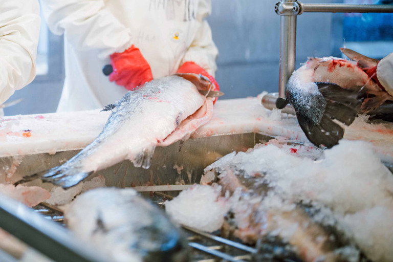 Et par menn som står ved siden av hverandre på et kjøkken.