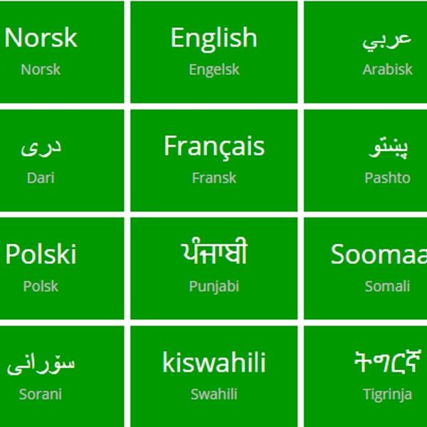 Illustrasjon nettressurs med korona-informasjon på ulike språk
